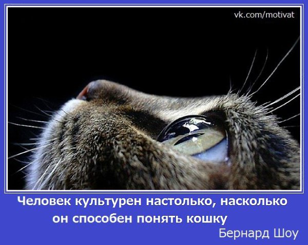 ����� �����. - 6 ������ 2015 � 06:33