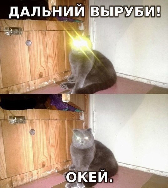       - 24  2015  10:02