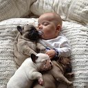  , -, 62  -  19  2015    