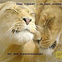  , -, 62  -  24  2014    