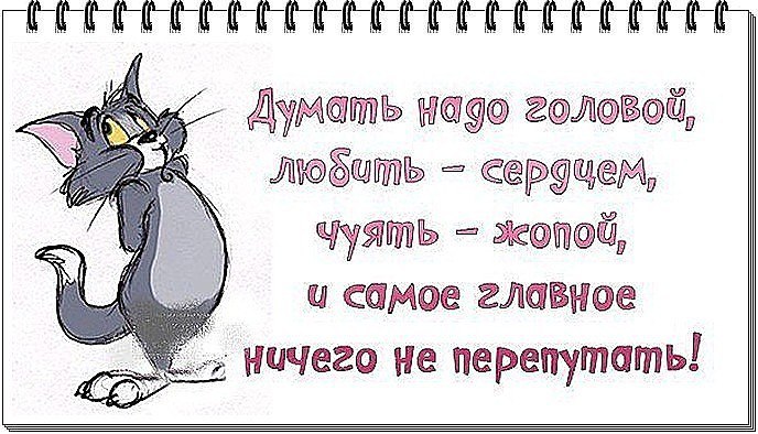 ���� - 14 ����� 2015 � 11:11