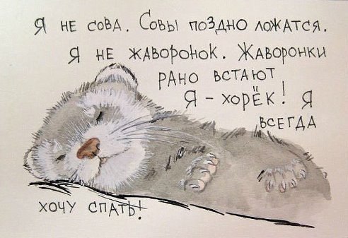   | , ,  - 5  2015  16:07