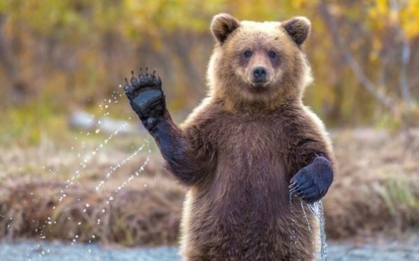 Не ждите чуда, чудите сами. И бегите, бегите от пессимистов, скептиков, нытиков, отодвигайте их. Они ...