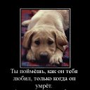 ���� �������, ������ - ��������� 15 ����� 2015 � ������ ��������������