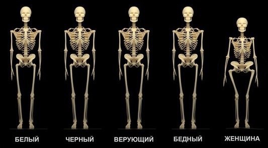     -  .