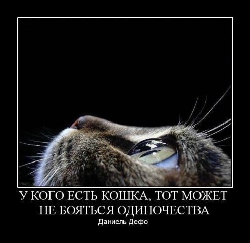       - 3  2015  12:31