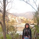  , , 61  -  22  2015     2015