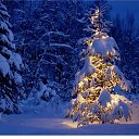 ���� Liudmila, �������, 70 ��� - ��������� 30 ������� 2014 � ������ ������ ��������