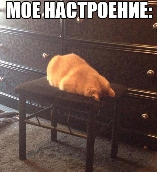    :-) - 25  2015  23:30