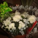 ���� �������, ������, 54 ���� - ��������� 8 ������� 2015 � ������ ���� ����������