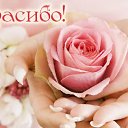 ���� �����, ����������, 54 ���� - ��������� 25 ������� 2015 � ������ �������� ��������
