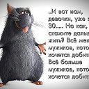 ���� ������� ���, ������ - ��������� 1 ������ 2015 � ������ ���� ����������