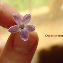 ���� �����!!������� ������, ������������ - ��������� 25 ������� 2015 � ������ �������� � ��� ������