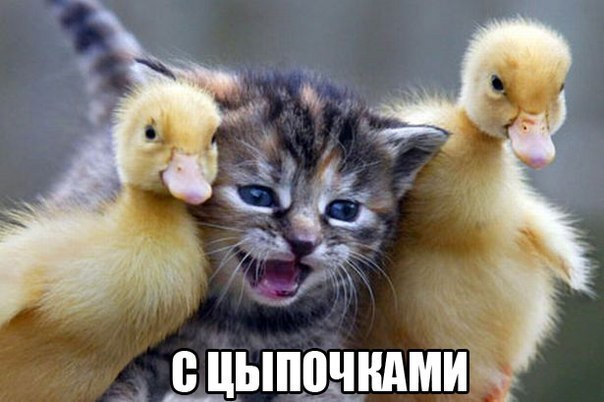 ������ ����� / ���� ! - 1 ����� 2015 � 09:46