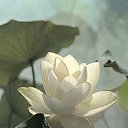 ���� �����, ��������� - ��������� 7 ������� 2015 � ������ ������ ��������