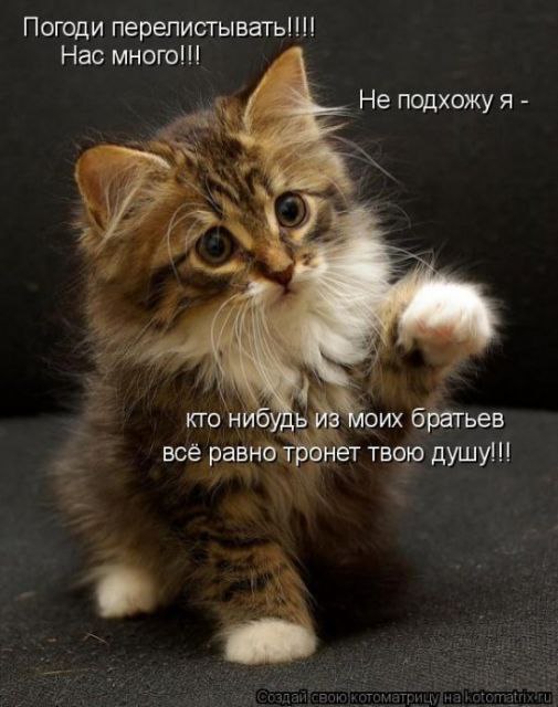 ���� - 31 ������� 2014 � 09:06