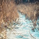 ���� ���������, ��������, 34 ���� - ��������� 8 ������ 2015 � ������ ����� 2�