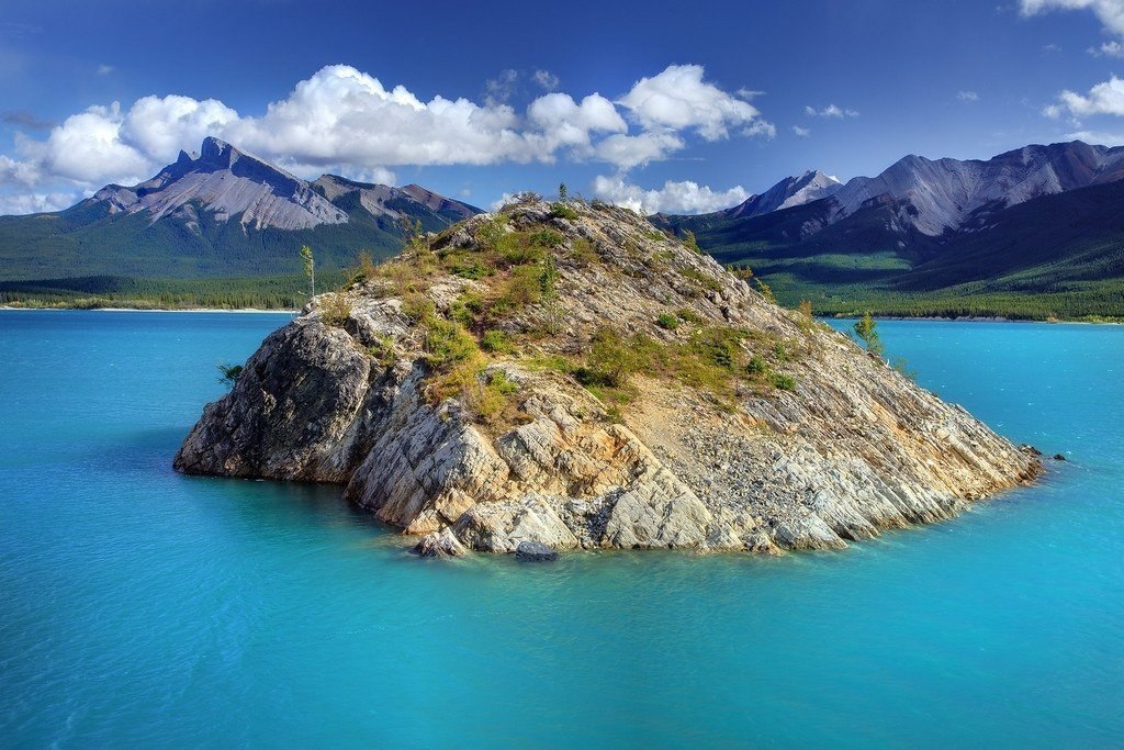     .   (Kevin McNeal),  . ... - 5