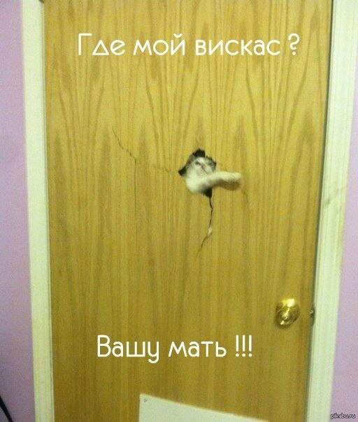    :-) - 8  2015  11:02