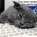 ���� ����, ������, 23 ���� - ��������� 30 ����� 2015 � ������ ���� ����������