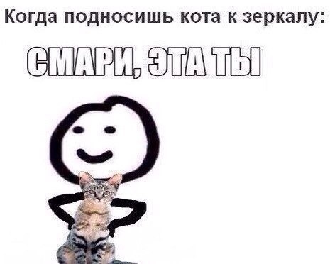     - 5  2015  20:33