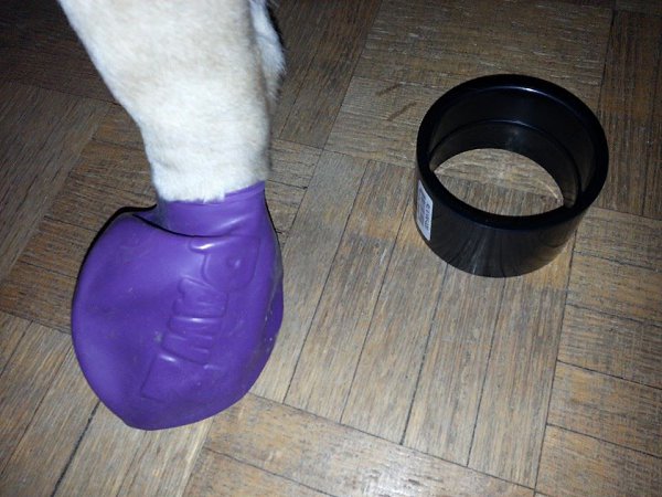    ,          .   ... - 6