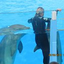 ���� ����, ������, 40 ��� - ��������� 9 ������ 2015 � ������ ���� ����������