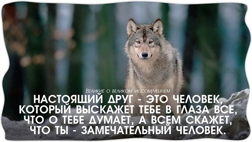        ,      - <a href=