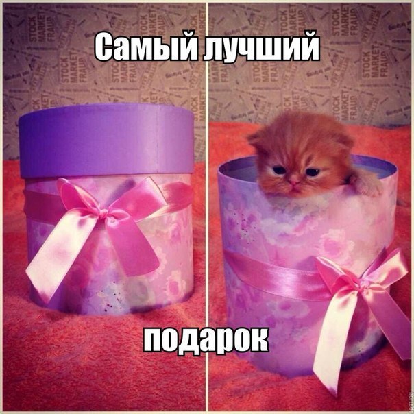       - 9  2015  21:06