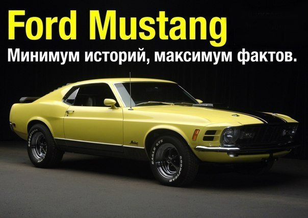 Ford Mustang.  ,   .        ...