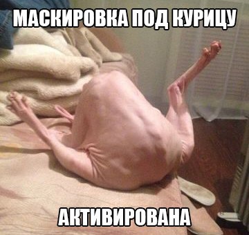       - 24  2015  17:35