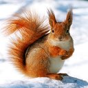 ���� �����, �������, 59 ��� - ��������� 25 ������ 2015 � ������ ������ ��������