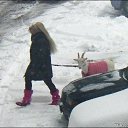 ��� ���� . �� ������� ������������ .�