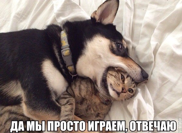    :-) - 20  2015  05:20