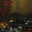 ���� �������, ����� - ��������� 27 ������� 2014 � ������ ������ ��������