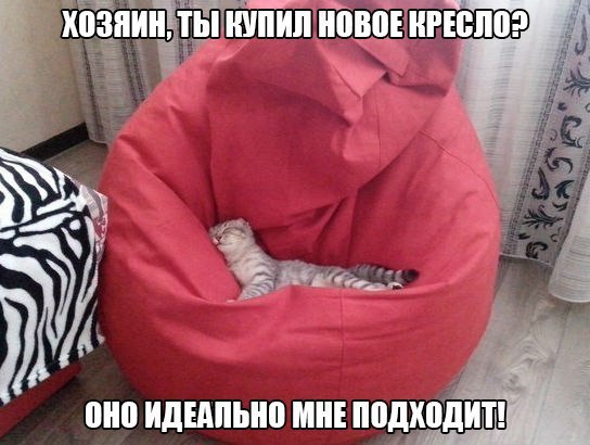  -  - 1  2015  13:21