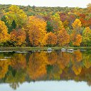 ���� �����, ��������� - ��������� 20 ������� 2015 � ������ ������ ��������