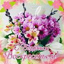 ���� �������, ������ - ��������� 16 ������ 2015 � ������ �������� ��������