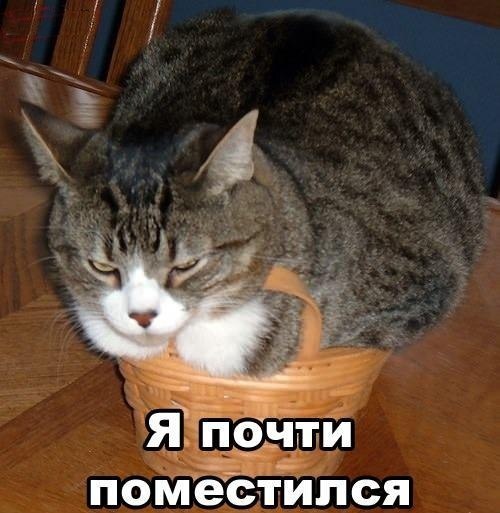       - 3  2015  17:31