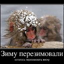 ���� ������, ������, 41 ��� - ��������� 2 ������ 2015 � ������ ������ ��������