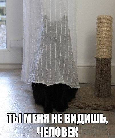 -  - 1  2015  13:32