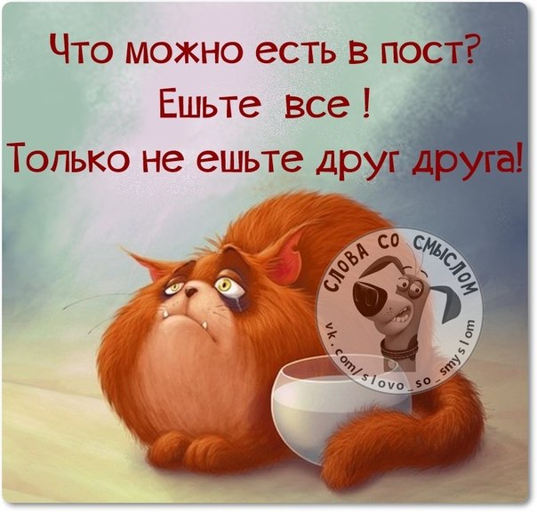  - 9  2015  21:58