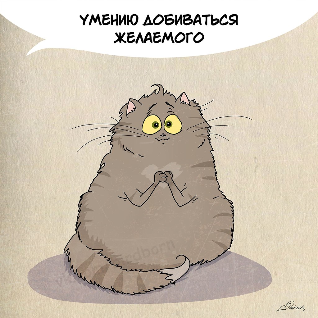 1      :).      :: ... - 6