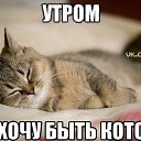���� �, �������� - ��������� 13 ������ 2015 � ������ ���� ����������
