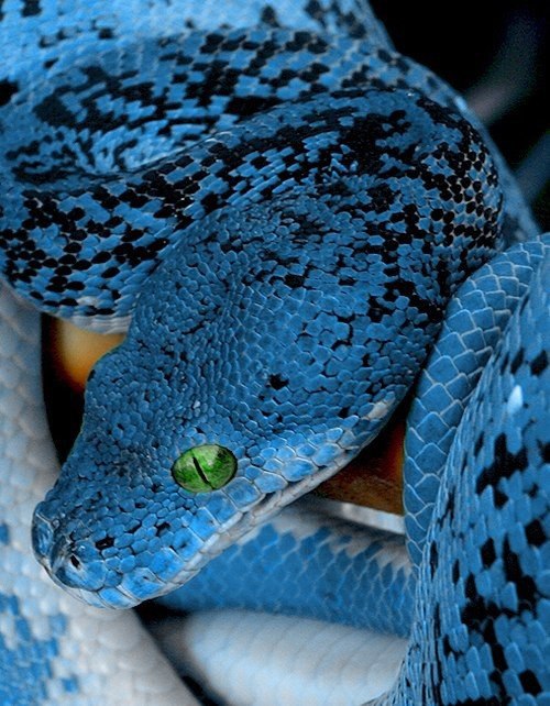   - 24  2015  14:45 - 6