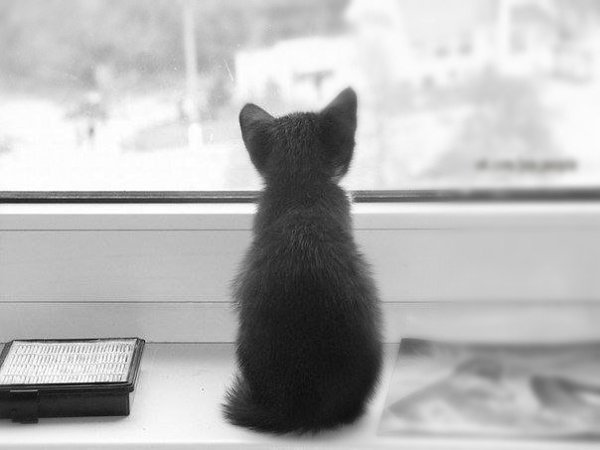 Самое сложное - это так долго ждать, и в самом конце узнать, что напрасно...