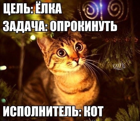  -  - 18  2014  01:18
