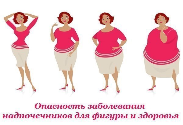 Опасность заболевания надпочечников для фигуры и здоровья.Многие из нас никогда не думают о том, что ...