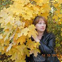 ���� �������, ��������, 44 ���� - ��������� 28 ������ 2015 � ������ ���� ����������