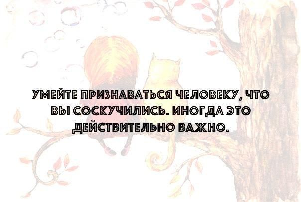     - 20  2015  10:55